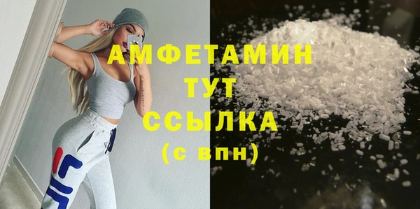гидра Арсеньев