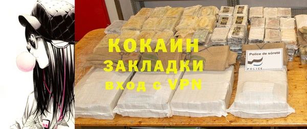 гидра Арсеньев