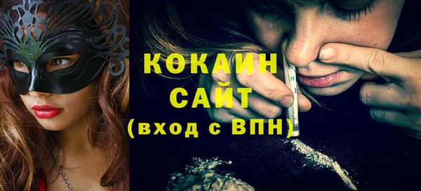 ECSTASY Алзамай