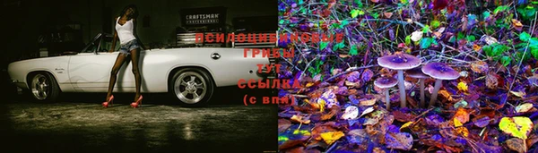mdma Аркадак