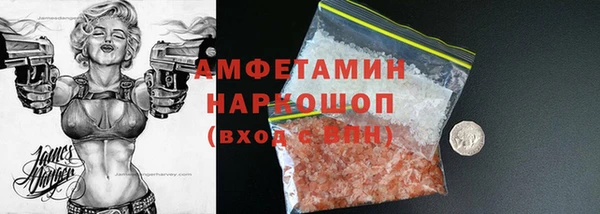 ECSTASY Алзамай