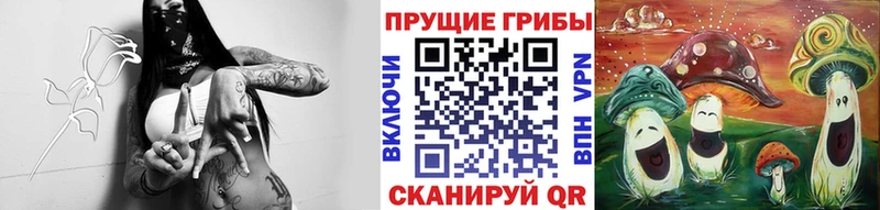 где купить наркоту  Курган  гидра ссылки  Псилоцибиновые грибы прущие грибы 