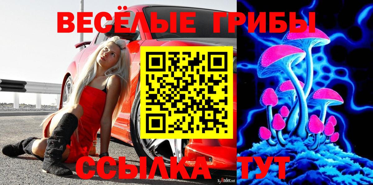 Псилоцибиновые грибы Magic Shrooms Курган
