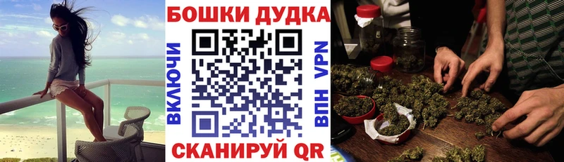 shop Telegram  цена наркотик  Курган  Канабис сатива 